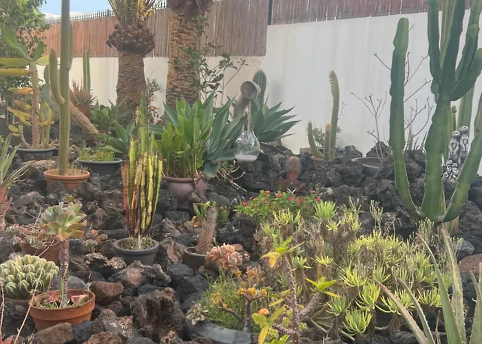 Apartman Acuario Sol *